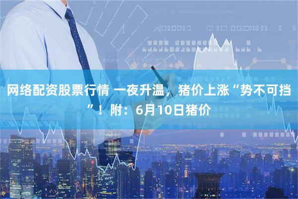 网络配资股票行情 一夜升温，猪价上涨“势不可挡”！附：6月10日猪价