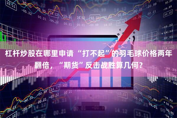 杠杆炒股在哪里申请 “打不起”的羽毛球价格两年翻倍，“期货”反击战胜算几何？