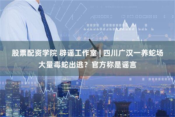 股票配资学院 辟谣工作室 | 四川广汉一养蛇场大量毒蛇出逃？官方称是谣言